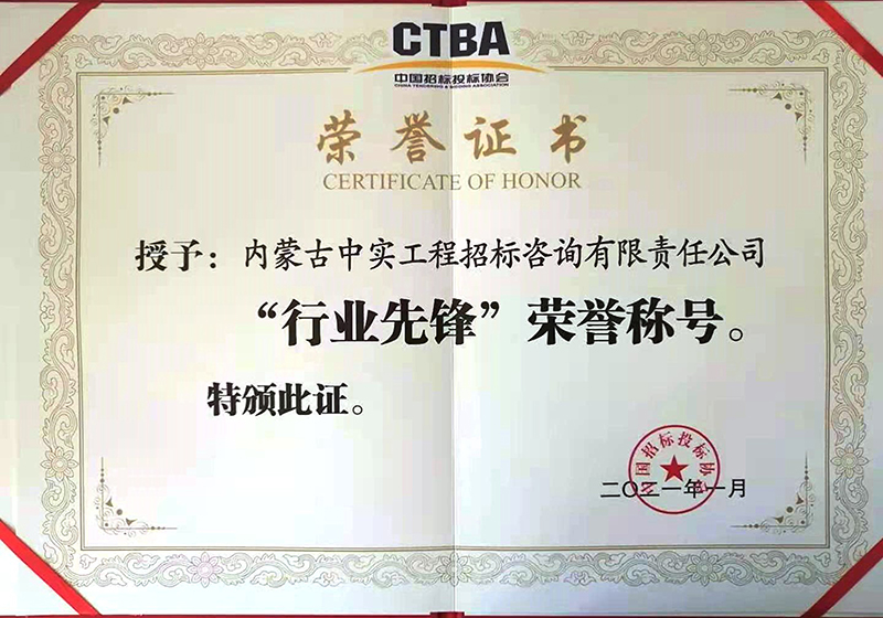 DUOBAO.COM招标投标协会“行业先锋”荣誉证书